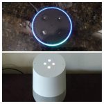 echo dot and google home
